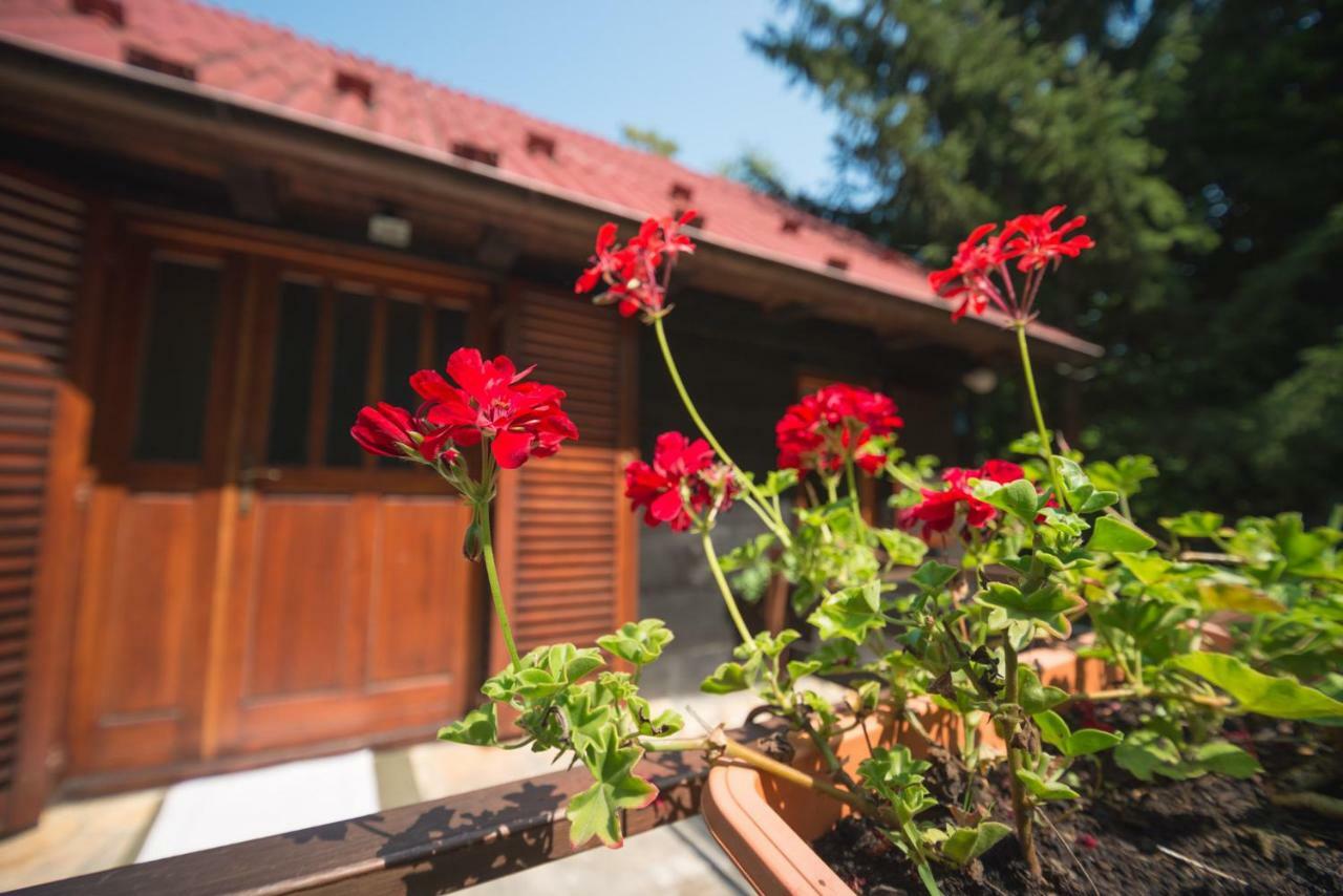 Cabin In The Woods Vukelic Stubicke Toplice Zewnętrze zdjęcie